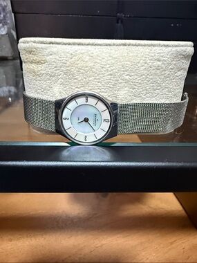 Skagen Silver Mesh Watch with Mother-of-Pearl Dial
